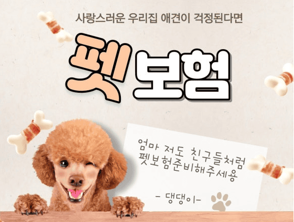 펫보험