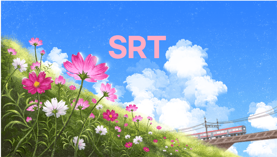 srt 예매