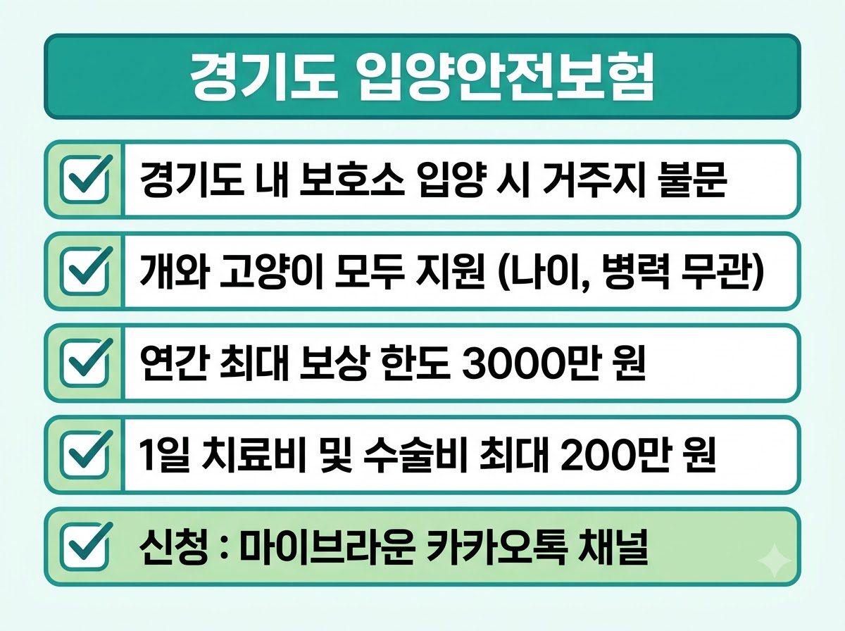 경기도 입양동물 안심보험 infographic design 202608231022