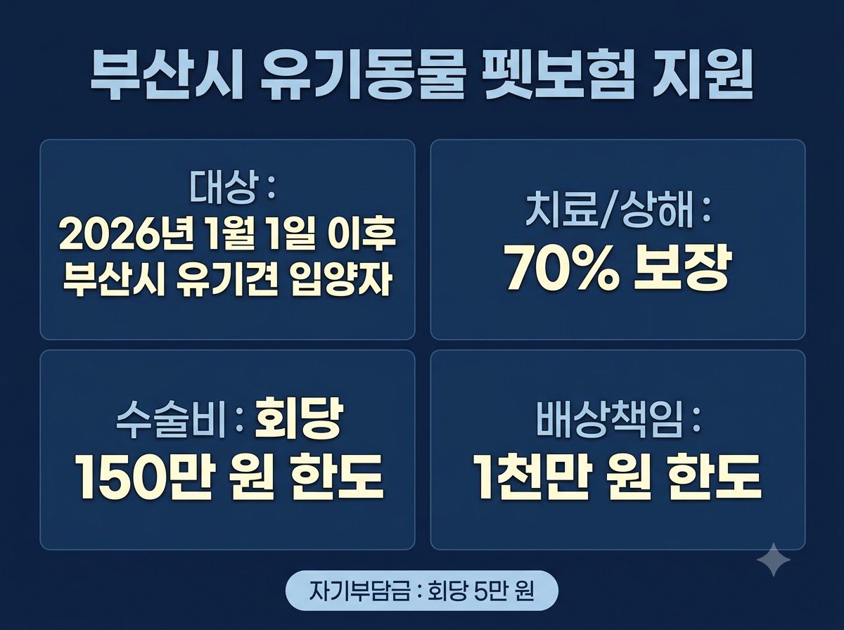 부산시 유기동물 펫보험 지원 202608231022