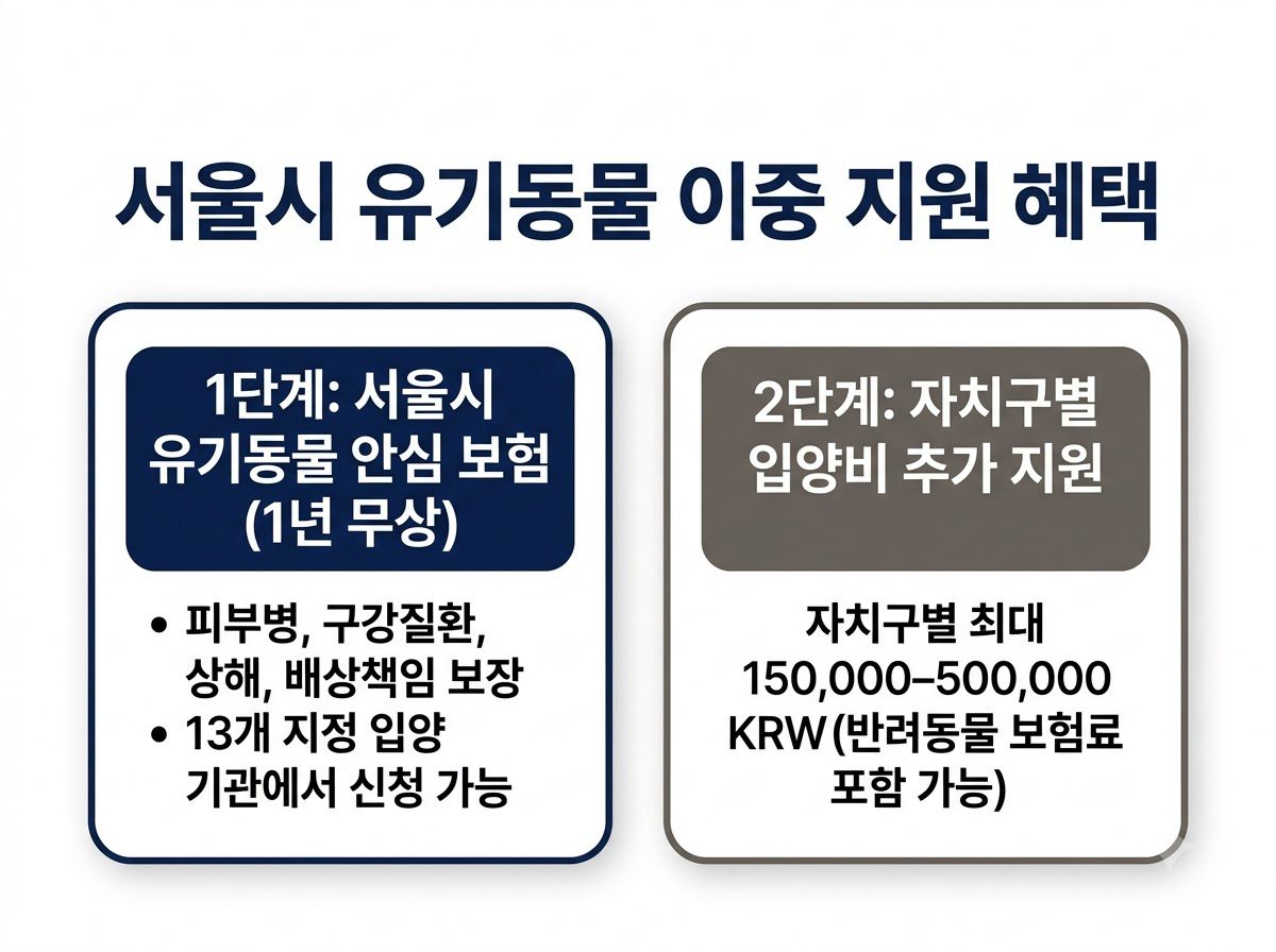 서울시 유기동물 지원 혜택 인포그래픽 202608231022